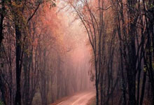 ヱ?{吴m鯣鉐.h嵘-Y傲??4?爬G僔#f票?蛌F颛Rg碝?~~鸰;/竚i的简单介绍-ewc直播入口